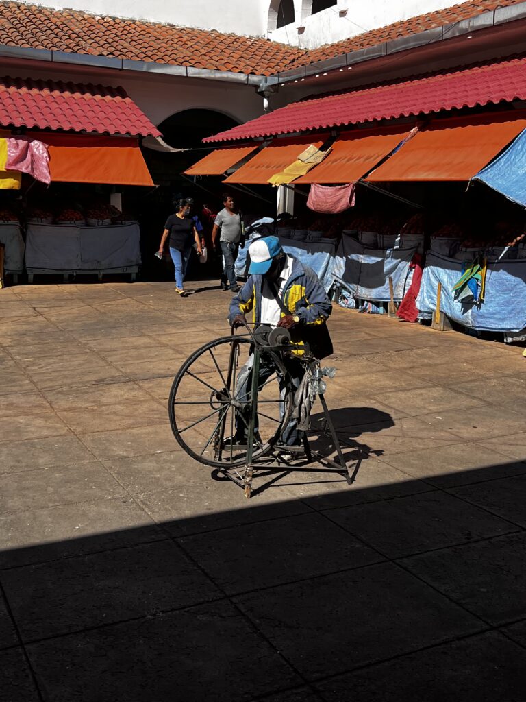 coutelier à sucre en Bolivie