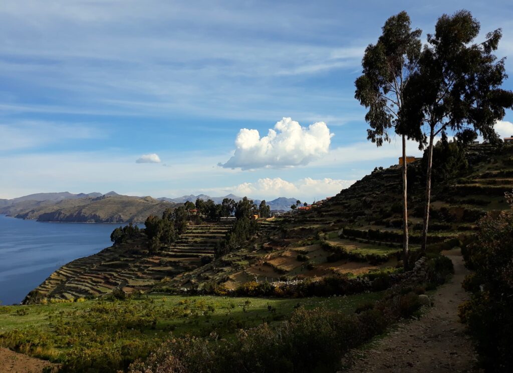 terrasses de culture de l'isla del sol, la plus grande île du lac Titicaca qui se trouve en Bolivie et qui est accessible depuis Copacabana