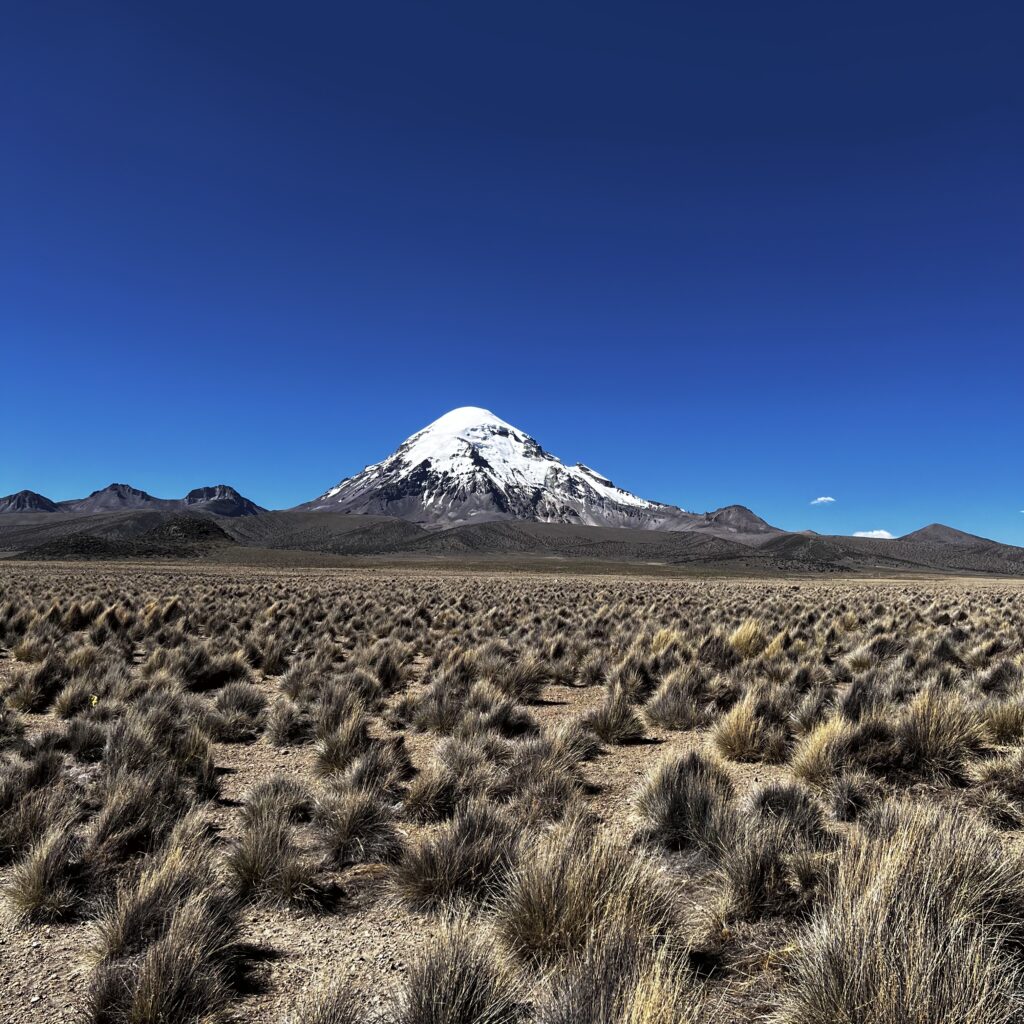 Volcan Sajama - Parc naturel Sajama, Bolivie